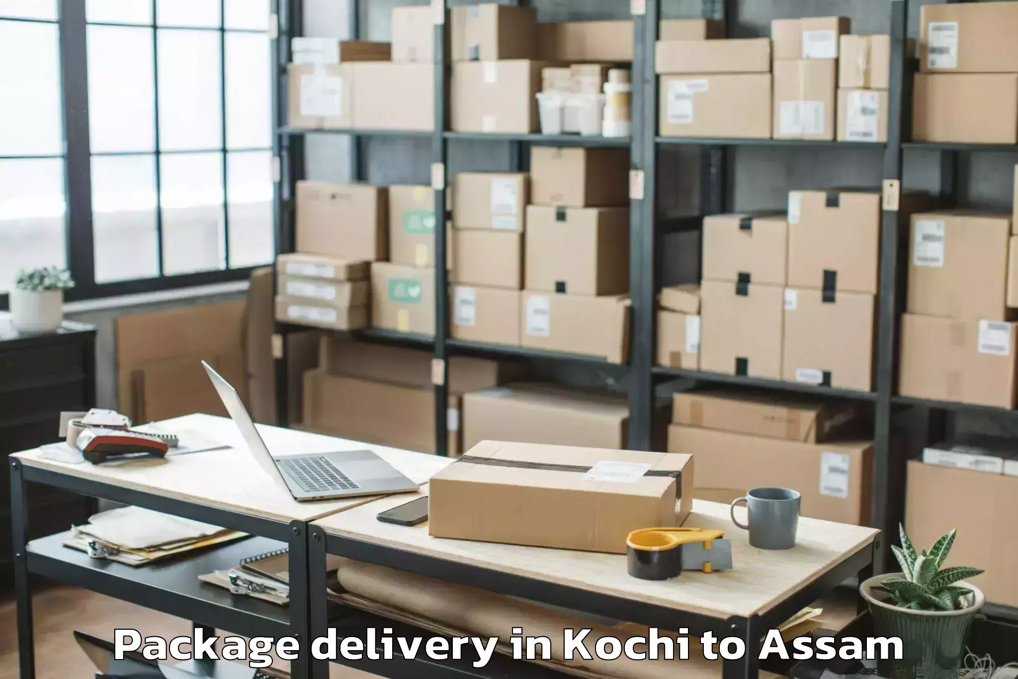 Reliable Kochi to Abhayapuri Package Delivery